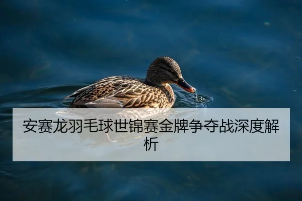 安赛龙羽毛球世锦赛金牌争夺战深度解析